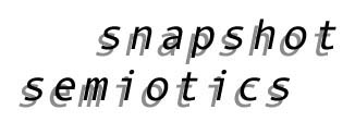 snapshot semiotics icon